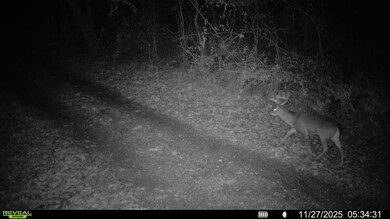 2 Tallent Rd, Pulaski, TN 38478 - photo 6