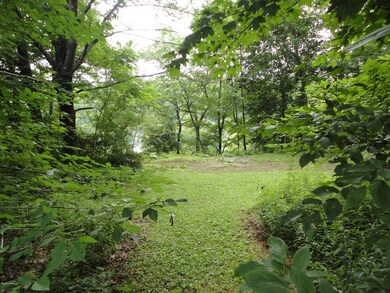 pretty backyard