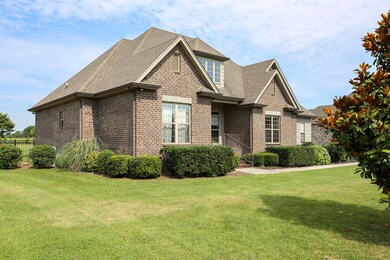 Beautiful landscaping with sidewalk leading to concrete driveway.
