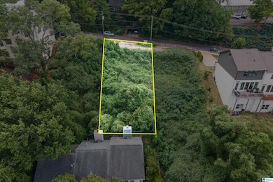 1612 16th Ave S, Birmingham, AL 35205 - photo 3