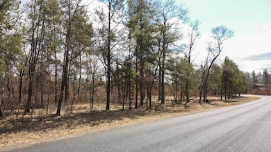 262, 264, 266 15th Ave, Nekoosa, WI 54457 - photo 7