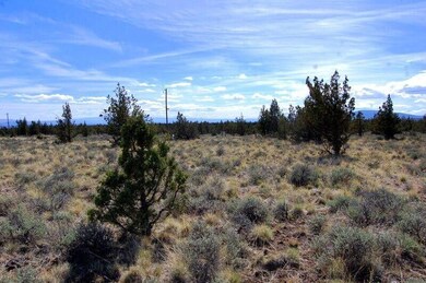 0 Tl 1501 Bluebird Dr unit 24787646, Prineville, OR 97754 - photo 5
