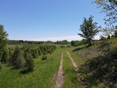 DJI_0843