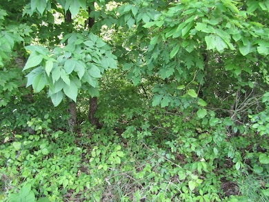 Lot 1&2 Pomona Rd, Crossville, TN 38572 - photo 6