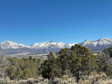 38.06 tbd Black Bear Trail, Crawford, CO 81415 - photo 3