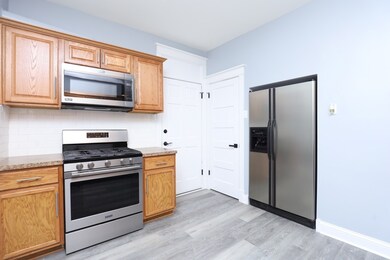 2039 W 23rd St unit 1, Chicago, IL 60608 - photo 4