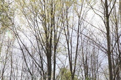 2645 Navigator Ln, Lansing, MI 48911 - photo 5