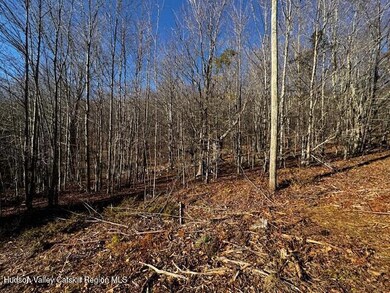 0 Bruce Cross unit 20255843, Lexington, NY 12468 - photo 7