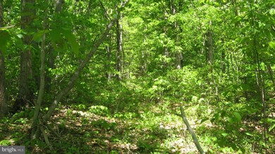 1 Apple Tree Ln, Moorefield, WV 26836 - photo 3