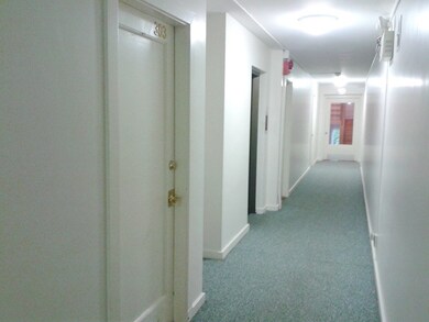 125 Pleasant St unit 303, Arlington, MA 02476 - photo 2