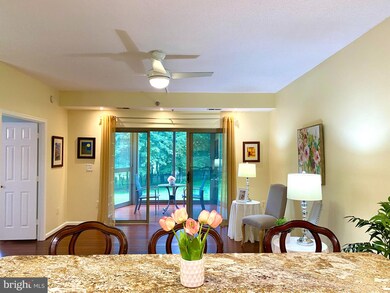 2904 N Leisure World Blvd unit 215, Silver Spring, MD 20906 - photo 5