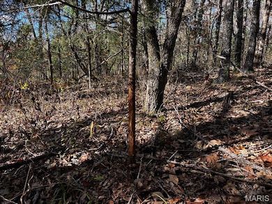 00 Highway K, Sullivan, MO 63080 - photo 7