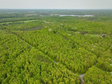 0 Buettner Rd unit 214627, White Lake, WI 54491 - photo 7