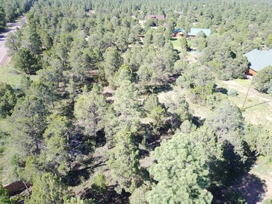 DJI_0073
