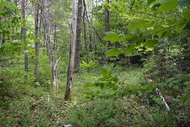 100 U S 302, Twin Mountain, NH 03595 - photo 4