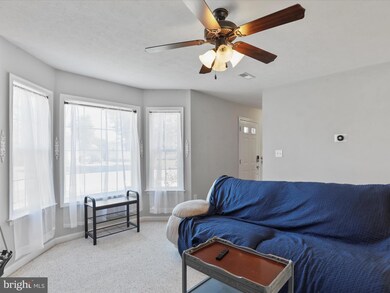 195 N Funk St, Strasburg, VA 22657 - photo 5