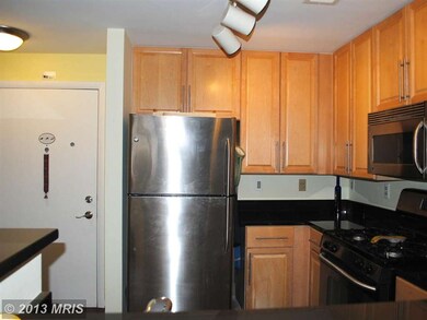 Silverton Condominiums, Silver Spring, MD 20910 - photo 3