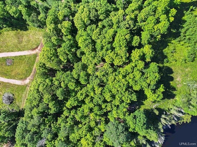 TBD Sunrise Shores Rd unit Parcel 5, Crystal Falls, MI 49920 - photo 4