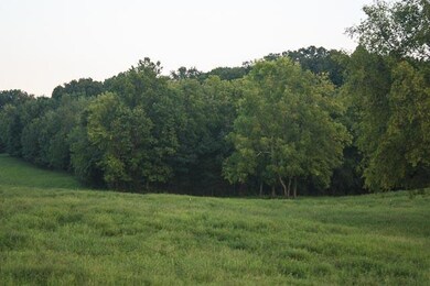 3 Tennessee 64, Shelbyville, TN 37160 - photo 6