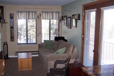 Timberbrook Village Condos unit B 110, Brian Head, UT 84719 - photo 3