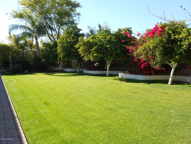 Yard w/ Citrus