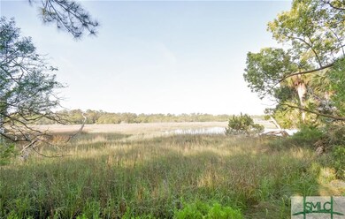 3 Egrets Nest Dr, Savannah, GA 31406 - photo 3