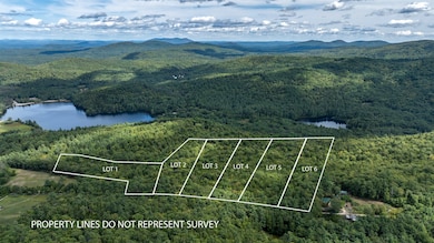 TBD Youngs Rd, Eaton, NH 03849 - photo 2