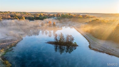1847 Jaketown Rd, Lagrange Township, IL 62019 - photo 4