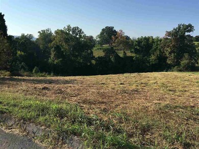 Lot 30 Howerton Estates Rd, Bean Station, TN 37708 - photo 3