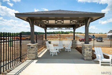 96 Mora Blvd unit 440-503, O'Fallon, MO 63368 - photo 6