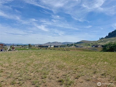 44110 Covey Ln, Wilbur, WA 99185 - photo 4