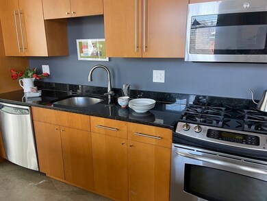 735 Harrison Ave unit W306, Boston, MA 02118 - photo 6