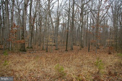 5917 Doyle Rd, Clifton, VA 20124 - photo 5