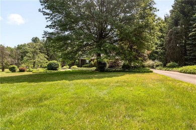 View from the edge of front yard