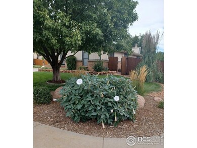 13157 Saint Paul Cir, Thornton, CO 80241 - photo 4