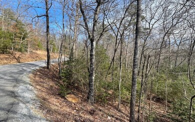 Additional View