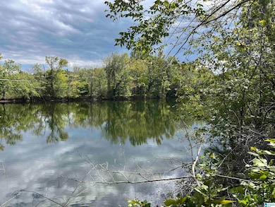 0 Sweatt Rd unit 21398227, Steele, AL 35987 - photo 5