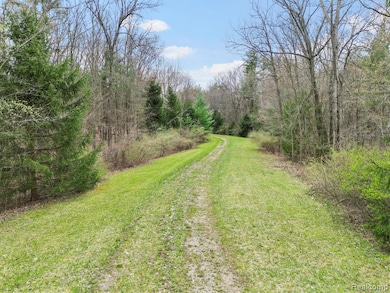 4.23 Acres VL - Knights Bridge, Lakeville, MI 48367 - photo 3