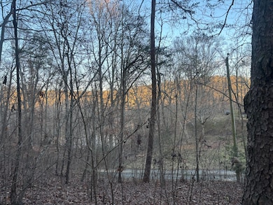 0 Twin Lakes Rd, Lafayette, GA 30728 - photo 4