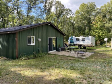 11834 N Bingham Ave, Bitely, MI 49309 - photo 4