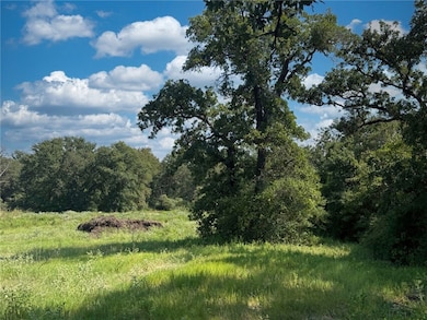 2790 S Discovery Ln SW, Franklin, TX 77856 - photo 6