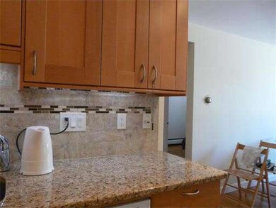 62 Carey Ave unit 5, Watertown, MA 02472 - photo 6