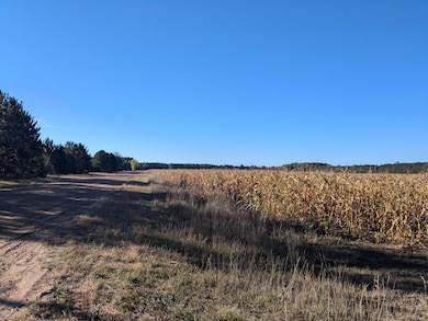Looking south from Niemi Rd