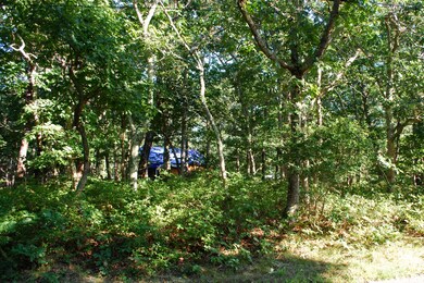 8 N Twentieth, Edgartown, MA 02568 - photo 7