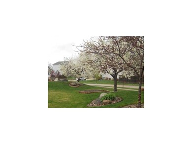 Yard/Garden. The new owner will receive treecare c