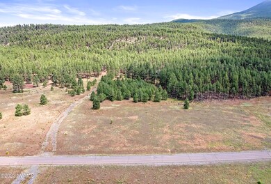 DJI_0031