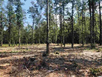TBD Tract C S Carolina 19, Loris, SC 29569 - photo 7