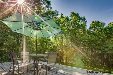 124 Foleys Grade, Lowell, MI 49331 - photo 5