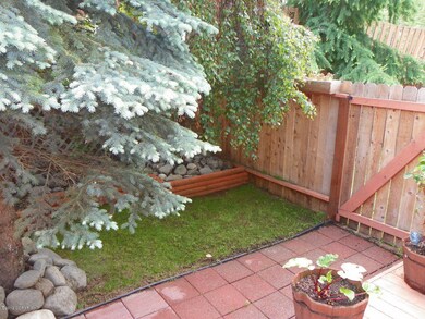 Backyard 2