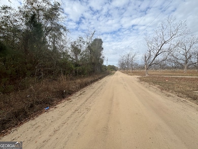 PARCEL A Wiggum Rd & St James Rd, Cochran, GA 31014 - photo 2
